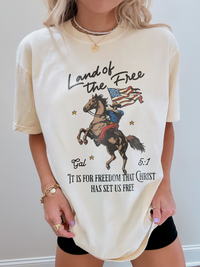 Land Of The Free Shirt